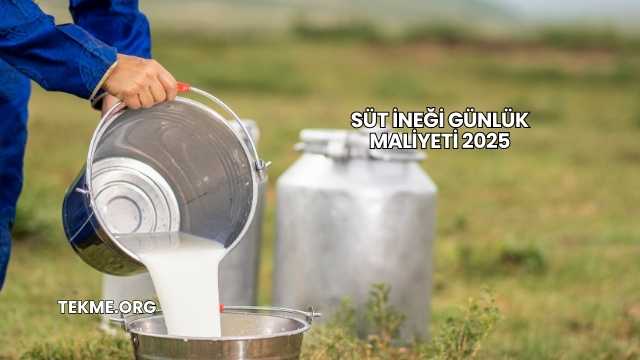 Süt İneği Günlük Maliyeti 2025