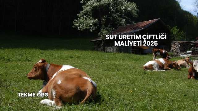 Süt Üretim Çiftliği Maliyeti 2025