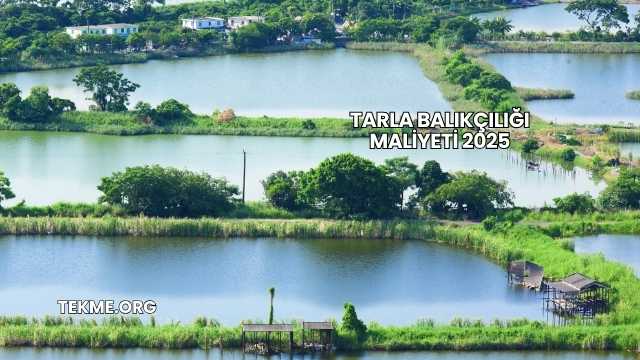 Tarla Balıkçılığı Maliyeti 2025