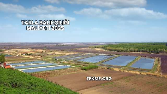 Tarla Balıkçılığı Maliyeti 2025