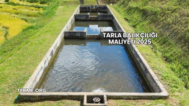 Tarla Balıkçılığı Maliyeti 2025