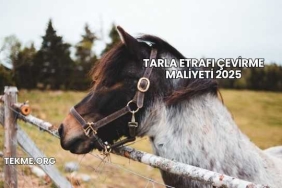 Tarla Etrafı Çevirme Maliyeti 2025