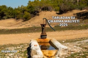Tarladan Su Çıkarma Maliyeti 2025