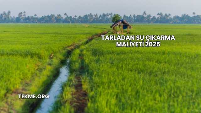 Tarladan Su Çıkarma Maliyeti 2025
