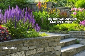 Taş Bahçe Duvarı Maliyeti 2025