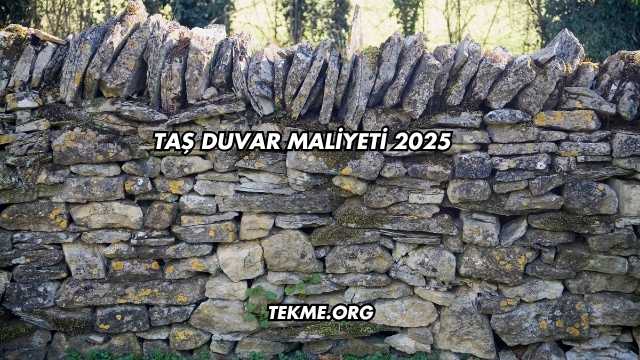 Taş Duvar Maliyeti 2025