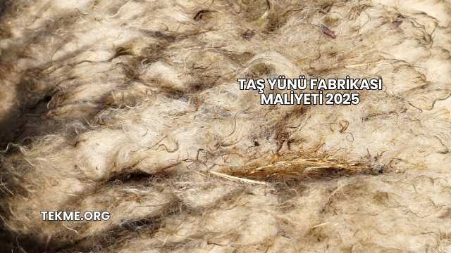 Taş Yünü Fabrikası Maliyeti 2025