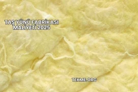 Taş Yünü Fabrikası Maliyeti 2025