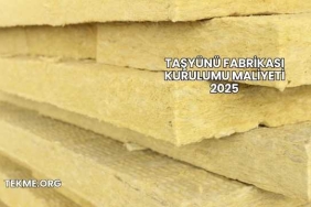 Taşyünü Fabrikası Kurulumu Maliyeti 2025
