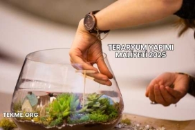 Teraryum Yapımı Maliyeti 2025