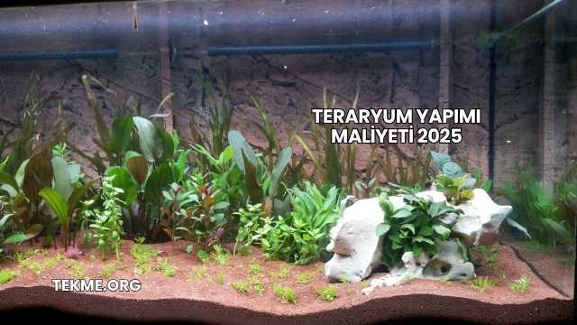 Teraryum Yapımı Maliyeti 2025
