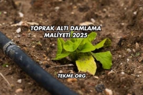 Toprak Altı Damlama Maliyeti 2025