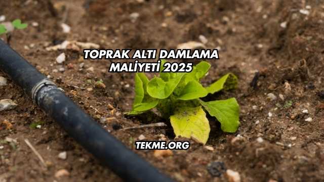 Toprak Altı Damlama Maliyeti 2025