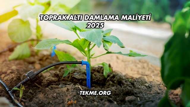 Toprak Altı Damlama Maliyeti 2025