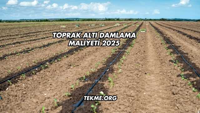 Toprak Altı Damlama Maliyeti 2025