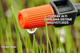 Toprak Altı Damlama Sistemi Maliyeti 2025