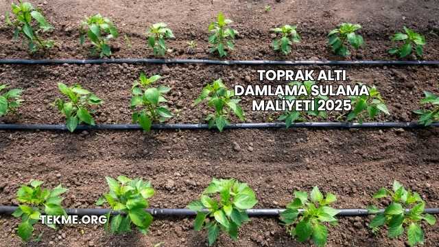 Toprak Altı Damlama Sulama Maliyeti 2025