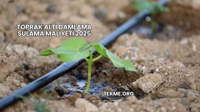 Toprak Altı Damlama Sulama Maliyeti 2025