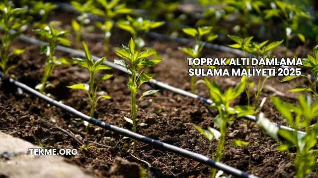 Toprak Altı Damlama Sulama Maliyeti 2025