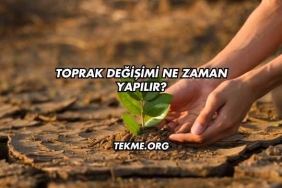 Toprak Değişimi Ne Zaman Yapılır?
