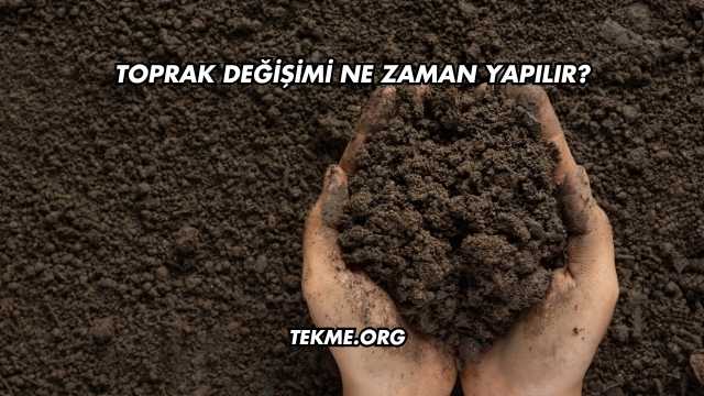 Toprak Değişimi Ne Zaman Yapılır?