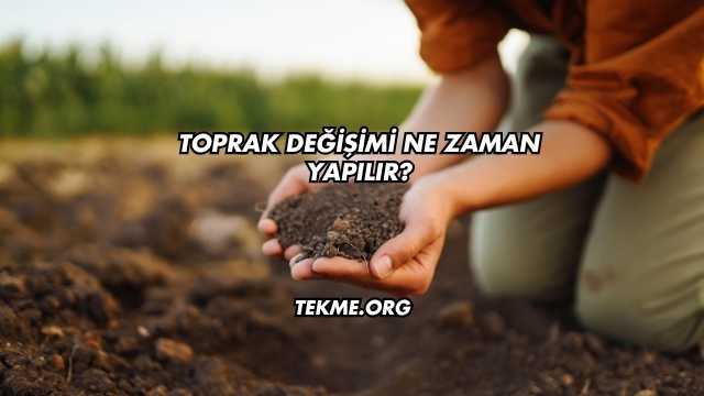 Toprak Değişimi Ne Zaman Yapılır?