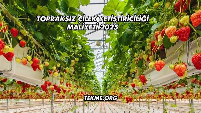 Topraksız Çilek Yetiştiriciliği Maliyeti 2025
