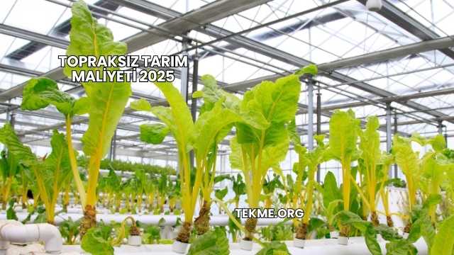 Topraksız Tarım Maliyeti 2025