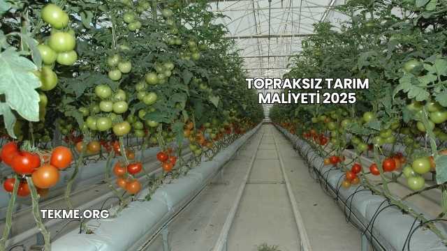 Topraksız Tarım Maliyeti 2025