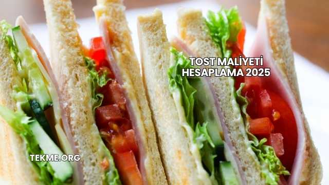 Tost Maliyeti Hesaplama 2025