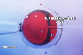 Tüp Bebek Maliyeti 2025