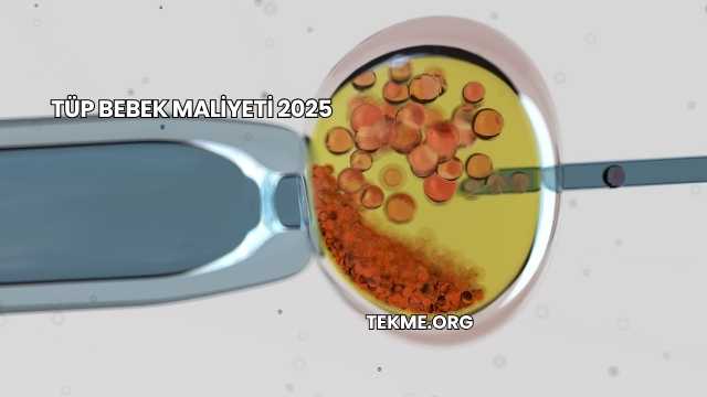 Tüp Bebek Maliyeti 2025