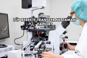 Tüp Bebekte Transfer Ne Zaman Yapılır?