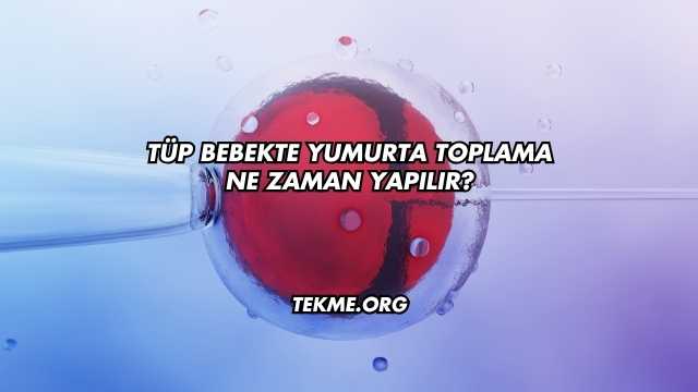 Tüp Bebekte Yumurta Toplama Ne Zaman Yapılır?