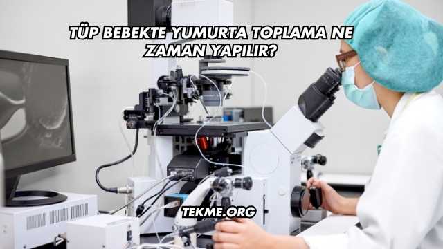 Tüp Bebekte Yumurta Toplama Ne Zaman Yapılır?