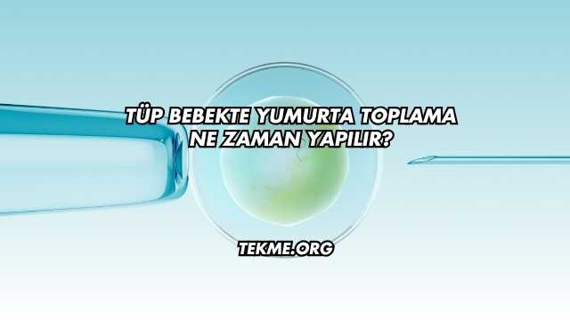 Tüp Bebekte Yumurta Toplama Ne Zaman Yapılır?