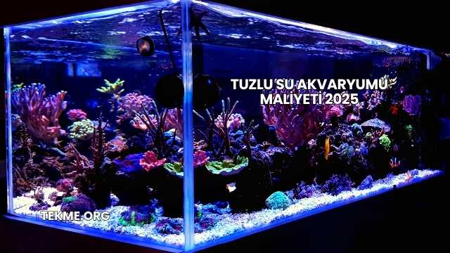 Tuzlu Su Akvaryumu Maliyeti 2025