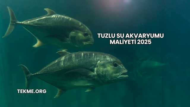 Tuzlu Su Akvaryumu Maliyeti 2025