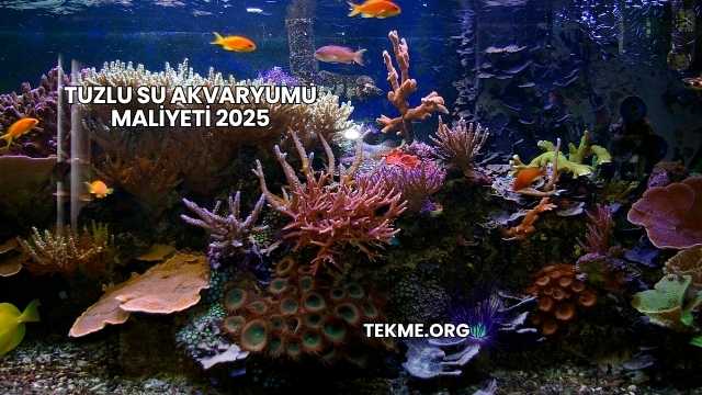 Tuzlu Su Akvaryumu Maliyeti 2025