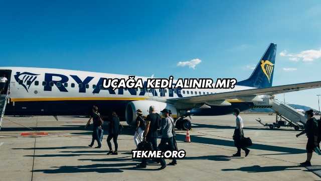 Uçağa Kedi Alınır mı?
