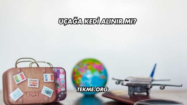 Uçağa Kedi Alınır mı?