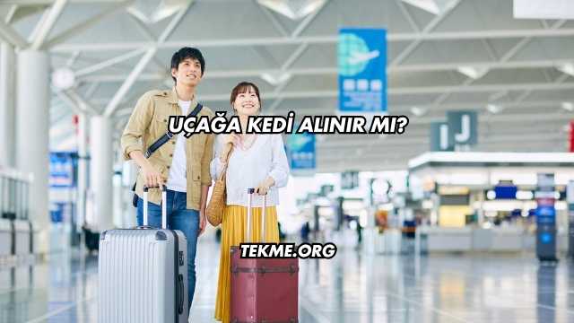 Uçağa Kedi Alınır mı?