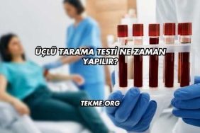 Üçlü Tarama Testi Ne Zaman Yapılır?