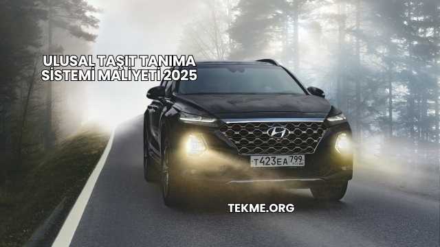 Ulusal Taşıt Tanıma Sistemi Maliyeti 2025