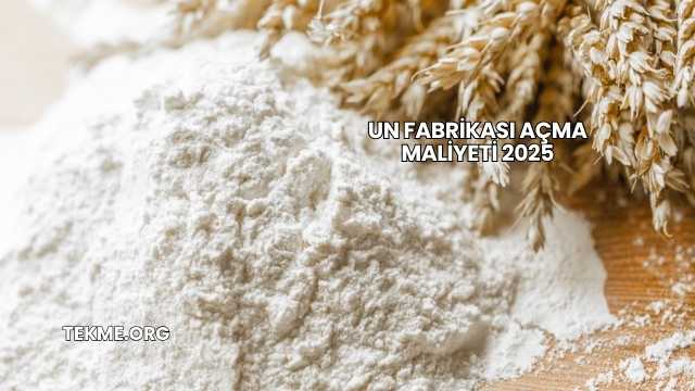Un Fabrikası Açma Maliyeti 2025