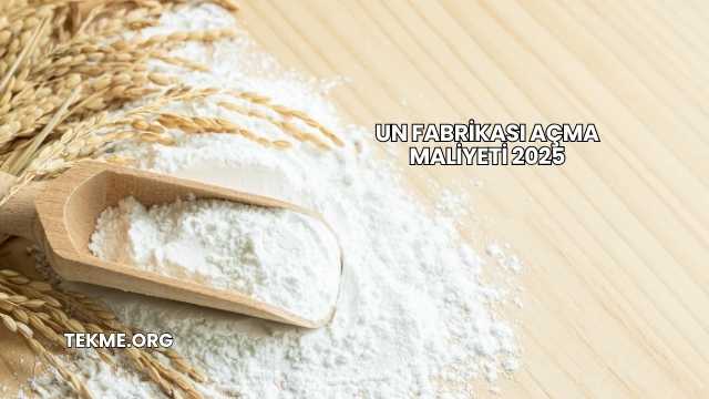 Un Fabrikası Açma Maliyeti 2025