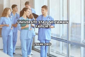 Üniversite Stajı Ne Zaman Yapılır?