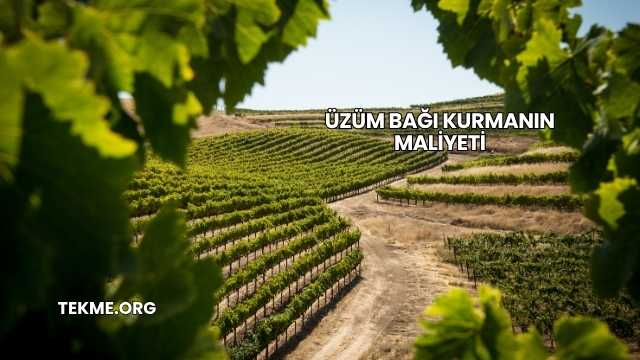 Üzüm Bağı Kurmanın Maliyeti