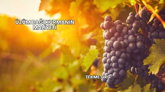 Üzüm Bağı Kurmanın Maliyeti