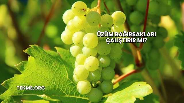 Üzüm Bağırsakları Çalıştırır mı?